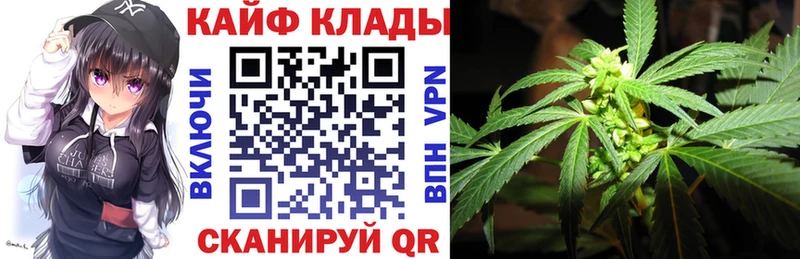 Где купить Гаврилов Посад A-PVP  Меф мяу мяу  АМФЕТАМИН  Марихуана  Экстази  ГАШИШ 