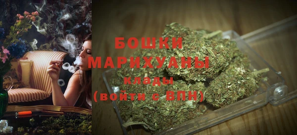 дживик Верея