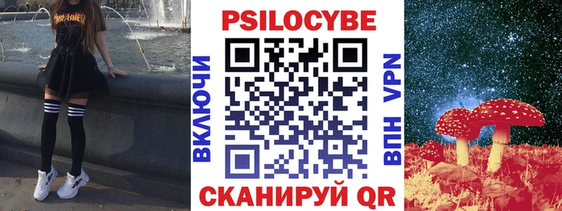 Псилоцибиновые грибы Psilocybine cubensis  Гаврилов Посад 